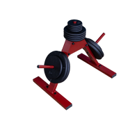 Best Fitness BFWT5 1" Standard Plate Tree