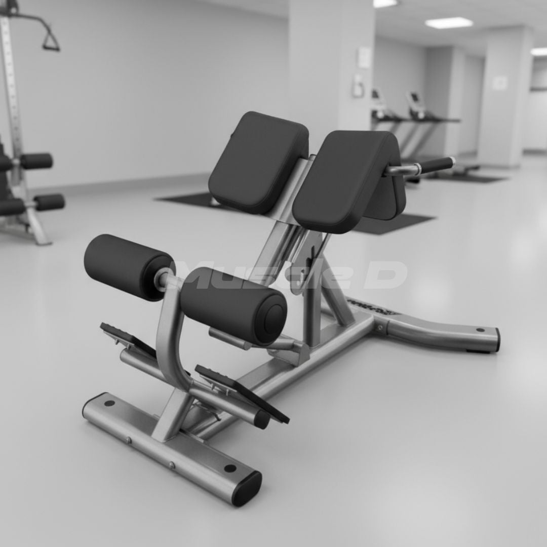 Muscle D Fitness Back Extension Bench