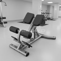 Muscle D Fitness Back Extension Bench
