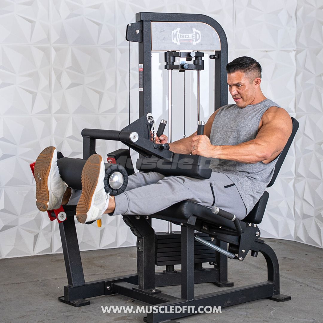 Classic V2 Selectorized Leg Extension / Seated Leg Curl Combo | Muscle D