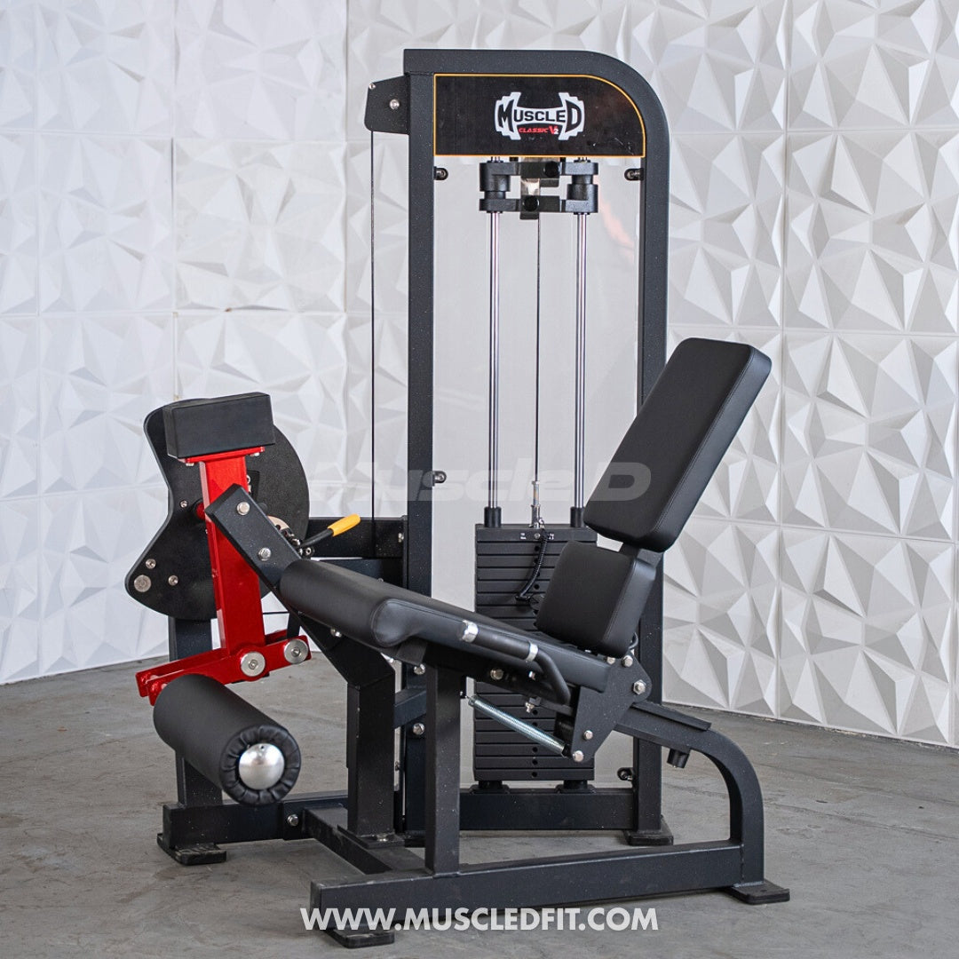 Classic V2 Selectorized Leg Extension Machine – Muscle D Fitness