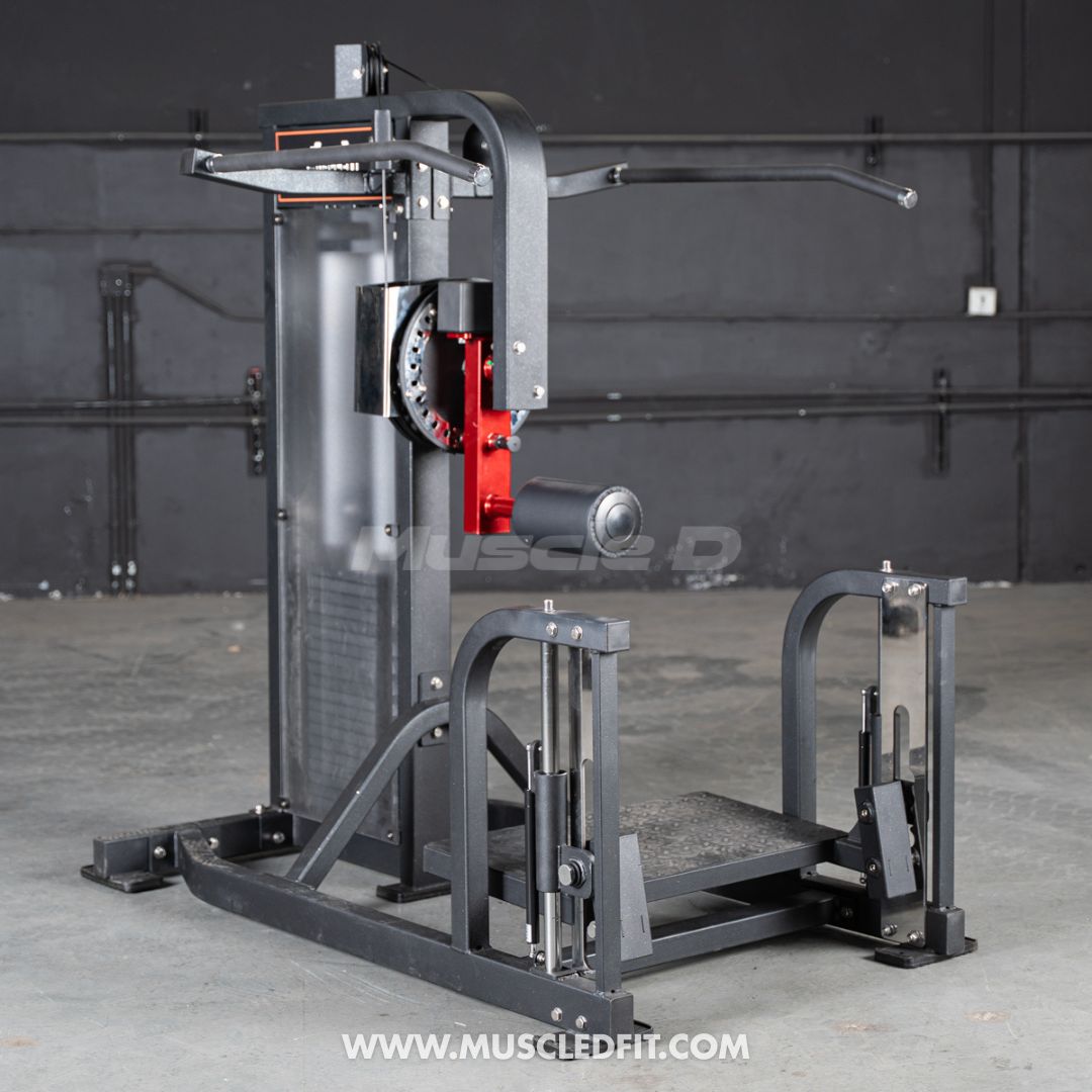 Classic V2 Selectorized Multi-Hip Machine | Hip & Glute Trainer by Muscle D