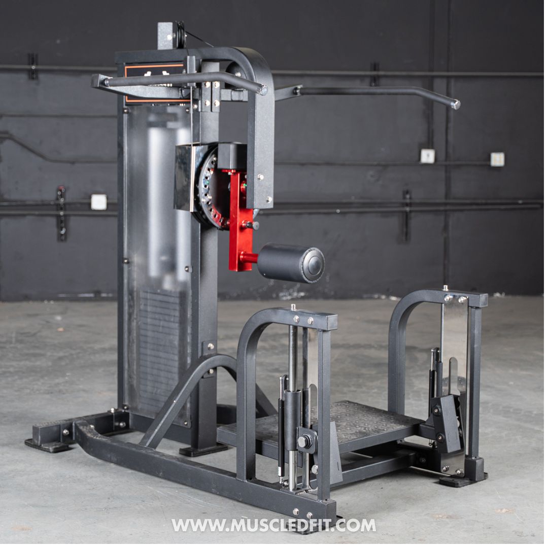 Classic V2 Selectorized Multi-Hip Machine | Hip & Glute Trainer by Muscle D