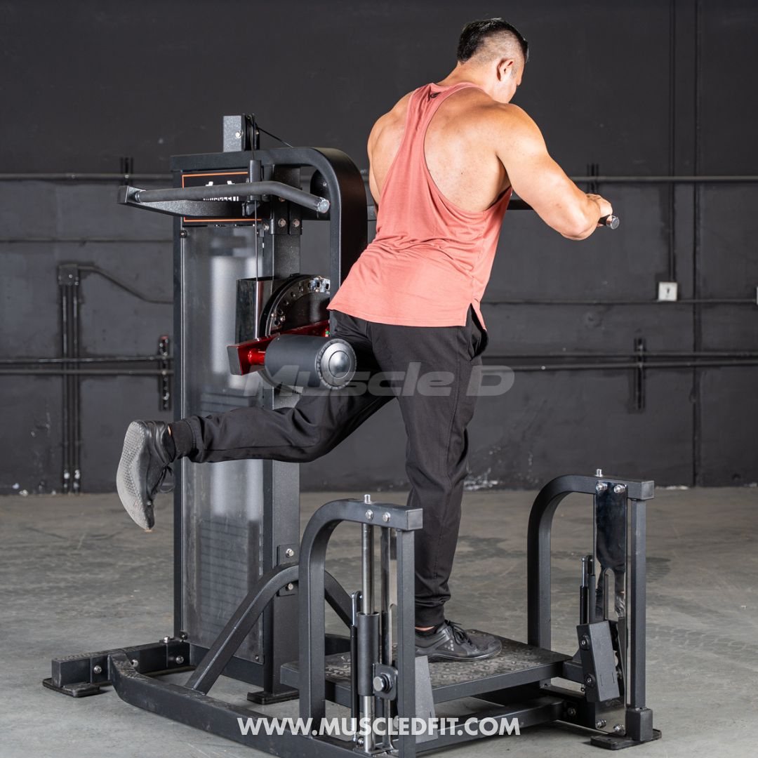 Classic V2 Selectorized Multi-Hip Machine | Hip & Glute Trainer by Muscle D