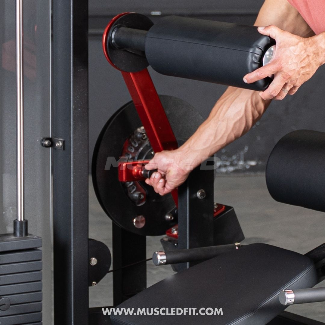 Classic V2 Selectorized Back / Ab Combo by Muscle D Fitness - Dual Function Core Machine