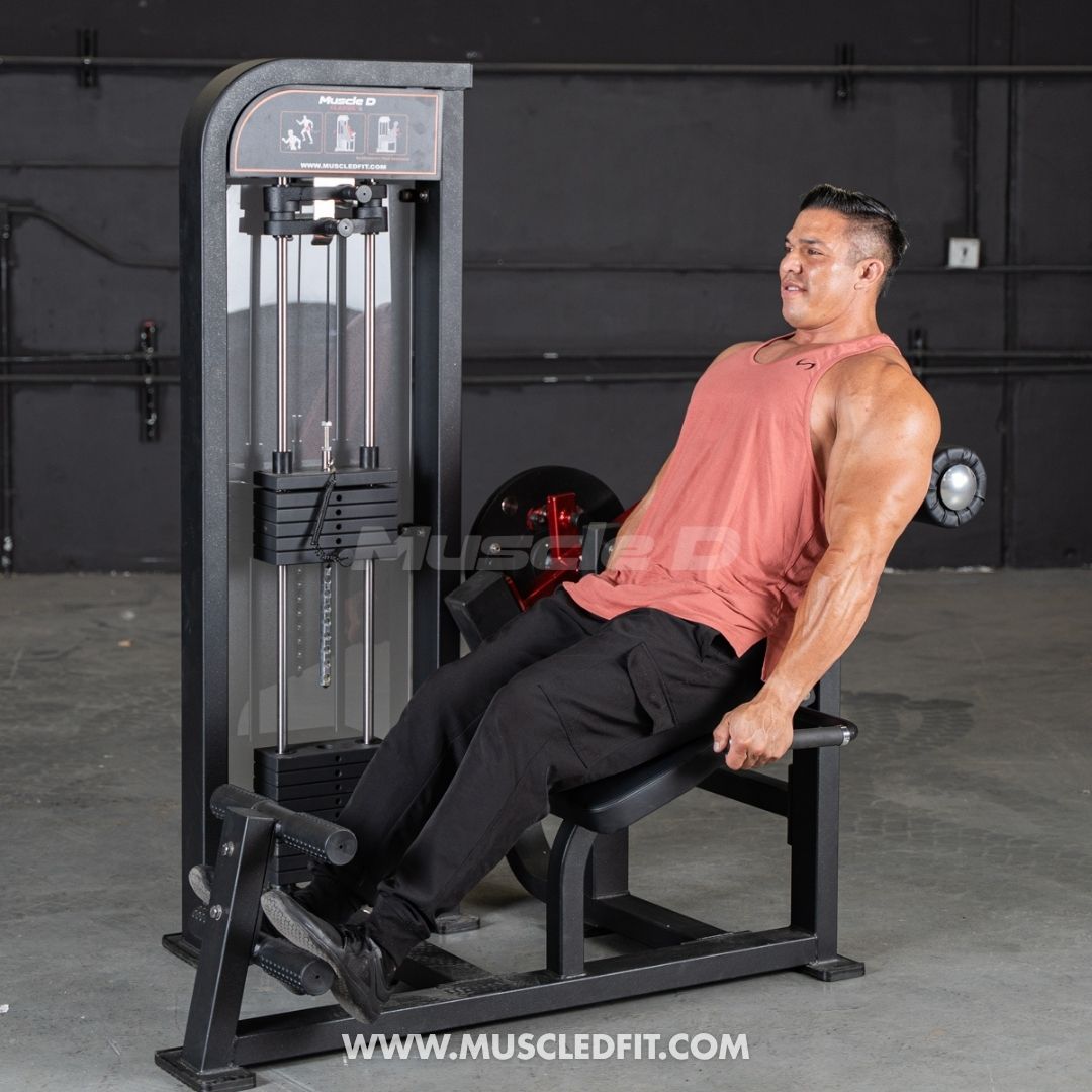 Classic V2 Selectorized Back / Ab Combo by Muscle D Fitness - Dual Function Core Machine