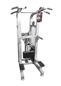 Dual Function Assisted Chin-Dip Combo - Muscle D Fitness - Adjustable - Plate Selectorized