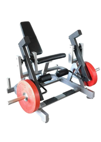 Muscle D Fitness Power Leverage Iso Lateral Leg Extension