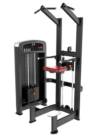 Muscle D Fitness Elite Selectorized Assisted Chin/Dip