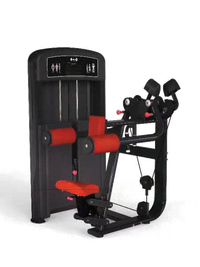 Muscle D Fitness Elite Selectorized Side Lateral Raise