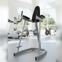 Muscle D Fitness Vertical Knee Raise