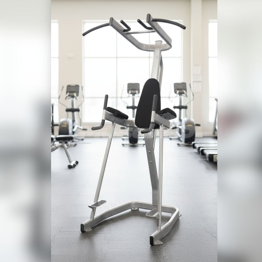 Vertical Knee Raise with Pull Up Station - Muscle D Fitness - Commercial