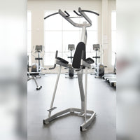 Muscle D Fitness Vertical Knee Raise with Pull Up Station