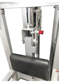 Dual Function Assisted Chin-Dip Combo - Muscle D Fitness - Adjustable - Plate Selectorized